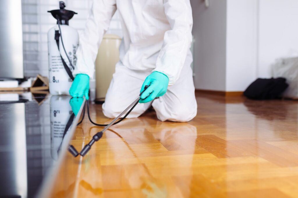 When is it Time to Fumigate Your Home